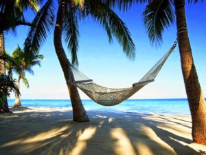 hammock-luxury-palm-trees-SpencerIsland